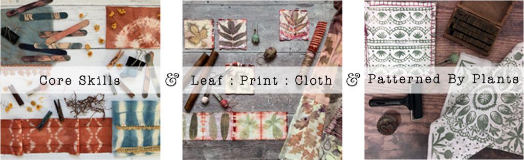 Core Skills in Natural Fabric Dyeing, Eco Print and Surface Pattern Design with plant dyes